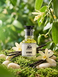 Vibe perfume